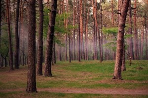 世界羽毛球混合团体挑战赛：多样赛制促进观赏性提升，世界羽毛球混合团体赛结束了两场半决赛的争夺